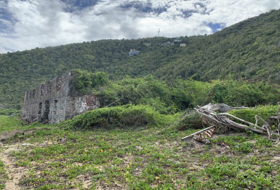 ruins of lormer bay, land for sale