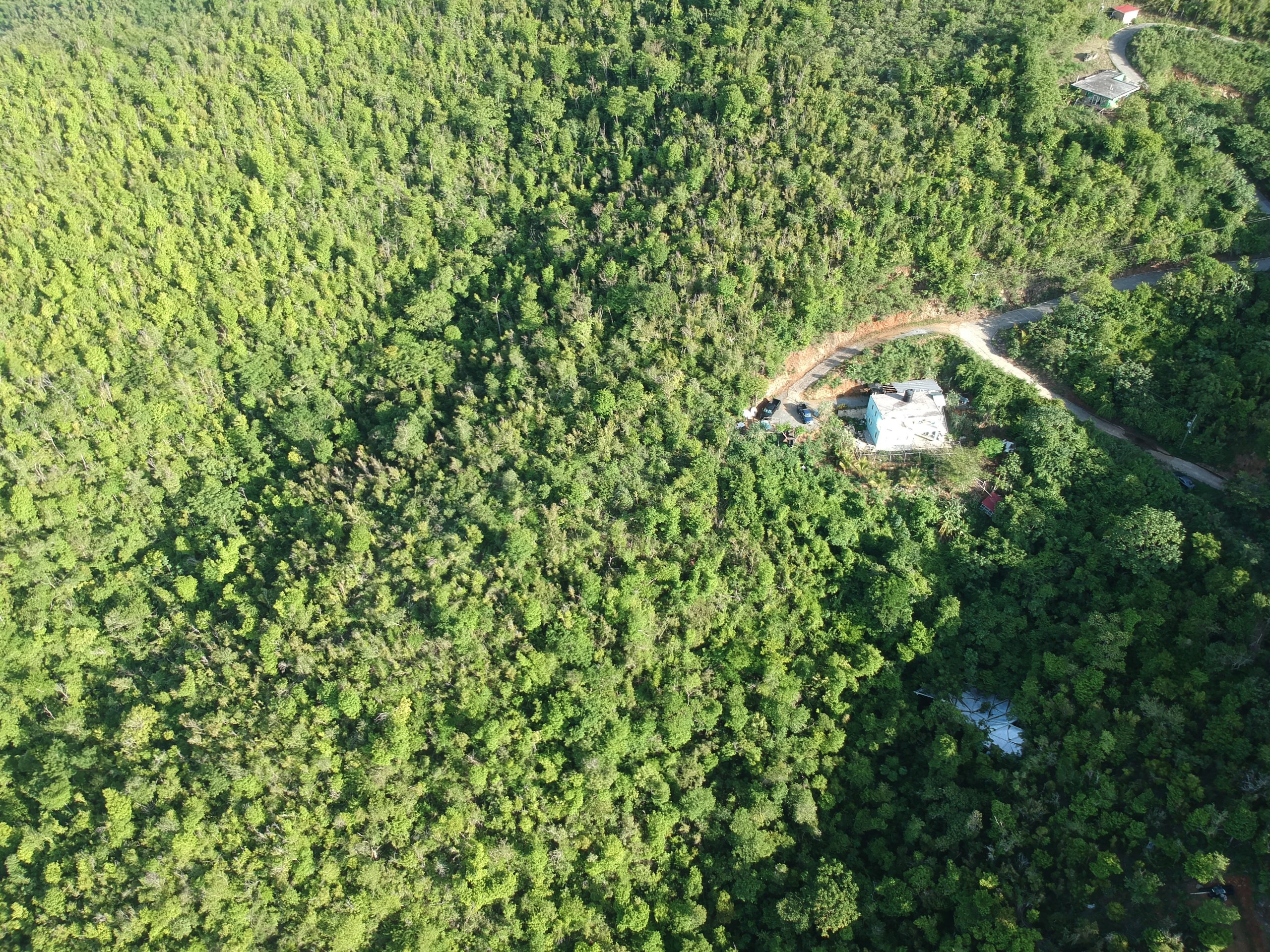 Cooten Bay land for sale BVI