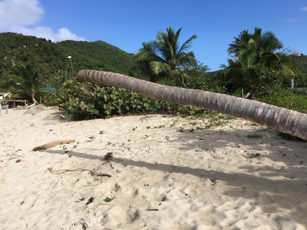 Beachfront land for sale Tortola